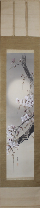 朧月桜花